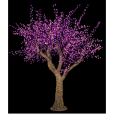 עץ לדים פריחת הדובדבן - 27