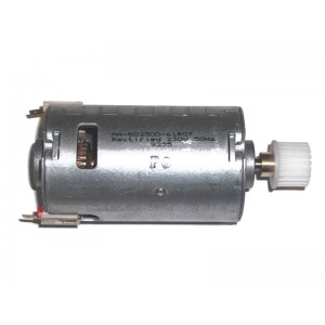 DeLonghi Motor With Pulley (ECM 230V) 7313217261
