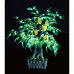 LED Bonsai Fruit Tree - 61