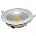 Camomile 2 - Round Down Light 30W