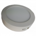 Round Panel Ceiling Lamp 20W